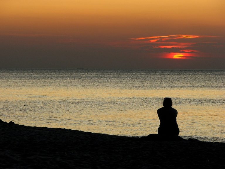 Quella fragile ricerca……